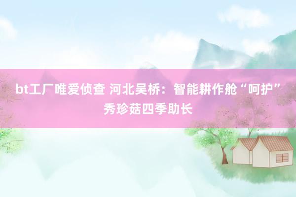 bt工厂唯爱侦查 河北吴桥：智能耕作舱“呵护”秀珍菇四季助长
