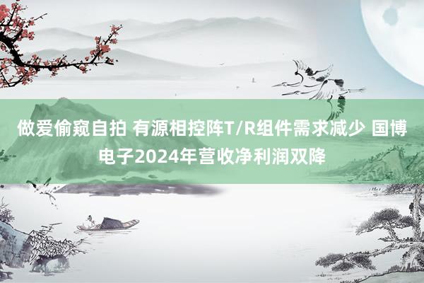 做爱偷窥自拍 有源相控阵T/R组件需求减少 国博电子2024年营收净利润双降