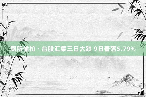 厕所偷拍 · 台股汇集三日大跌 9日着落5.79%