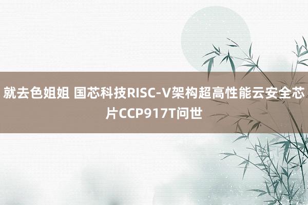 就去色姐姐 国芯科技RISC-V架构超高性能云安全芯片CCP917T问世