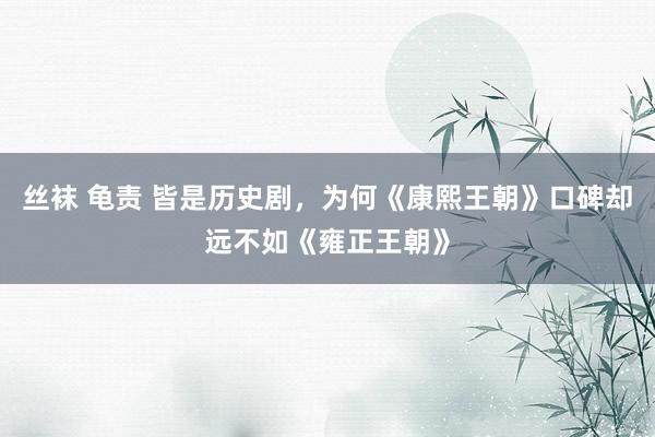 丝袜 龟责 皆是历史剧，为何《康熙王朝》口碑却远不如《雍正王朝》