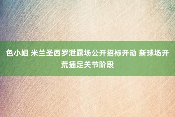 色小姐 米兰圣西罗泄露场公开招标开动 新球场开荒插足关节阶段