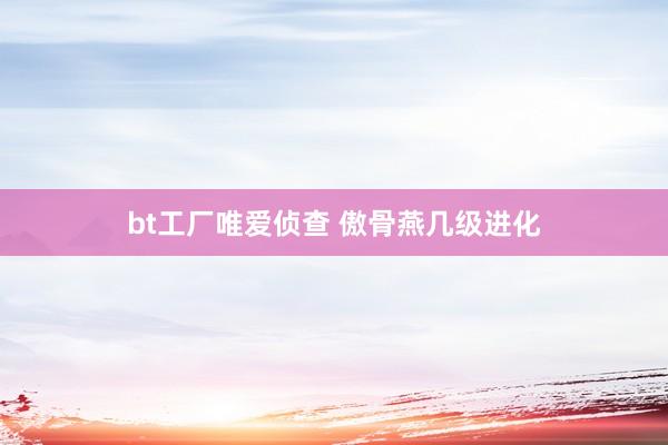 bt工厂唯爱侦查 傲骨燕几级进化