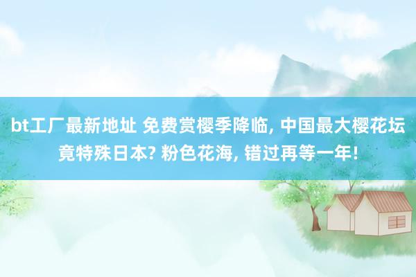 bt工厂最新地址 免费赏樱季降临， 中国最大樱花坛竟特殊日本? 粉色花海， 错过再等一年!