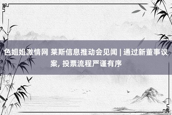 色姐姐激情网 莱斯信息推动会见闻 | 通过新董事议案， 投票流程严谨有序