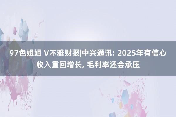 97色姐姐 V不雅财报|中兴通讯: 2025年有信心收入重回增长， 毛利率还会承压