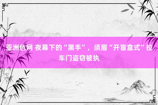 亚洲色网 夜幕下的“黑手”，须眉“开盲盒式”拉车门盗窃被执