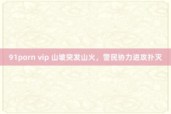 91porn vip 山坡突发山火，警民协力进攻扑灭