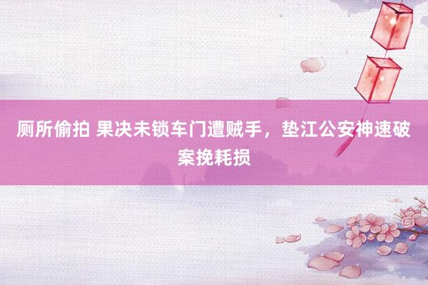 厕所偷拍 果决未锁车门遭贼手，垫江公安神速破案挽耗损