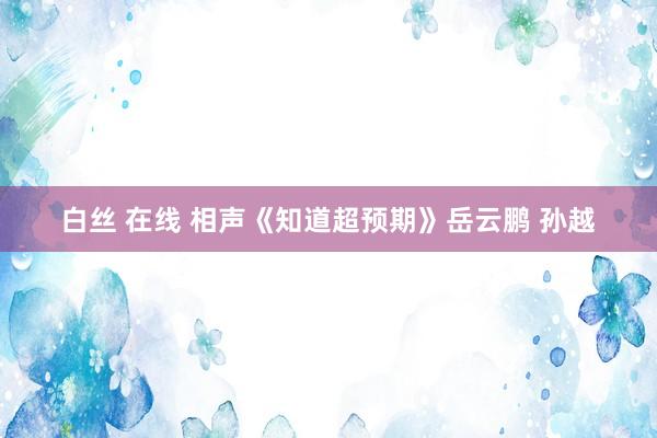 白丝 在线 相声《知道超预期》岳云鹏 孙越