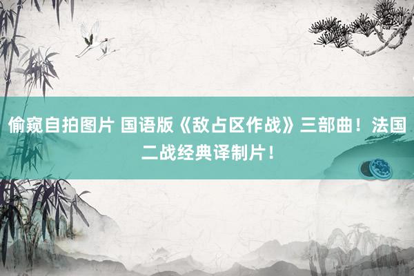 偷窥自拍图片 国语版《敌占区作战》三部曲！法国二战经典译制片！