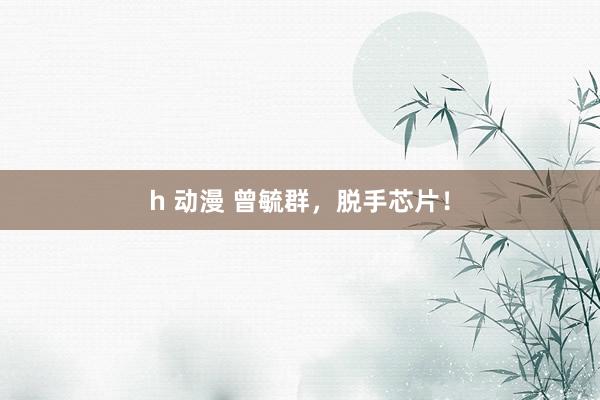 h 动漫 曾毓群，脱手芯片！