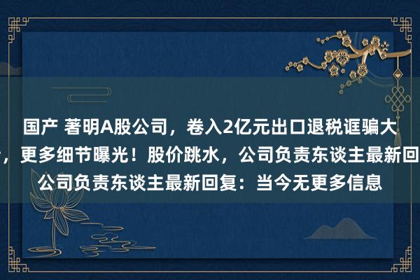 国产 著明A股公司，卷入2亿元出口退税诓骗大案！原主干职工被持，更多细节曝光！股价跳水，公司负责东谈主最新回复：当今无更多信息