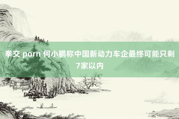 拳交 porn 何小鹏称中国新动力车企最终可能只剩7家以内