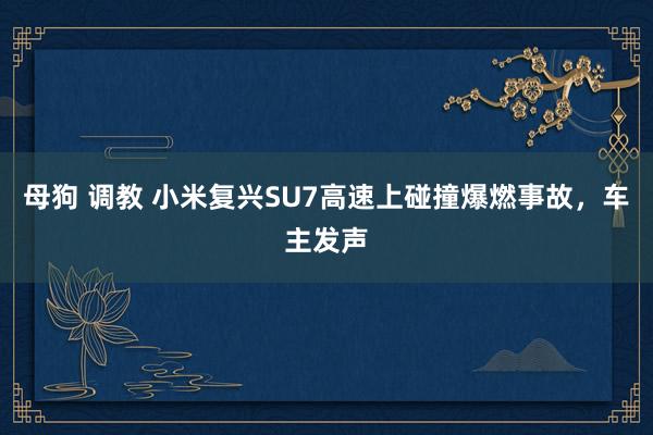 母狗 调教 小米复兴SU7高速上碰撞爆燃事故，车主发声